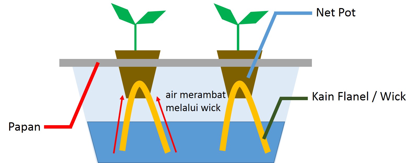 Foto Berita Bercocok Tanam dengan Cara Hidroponik