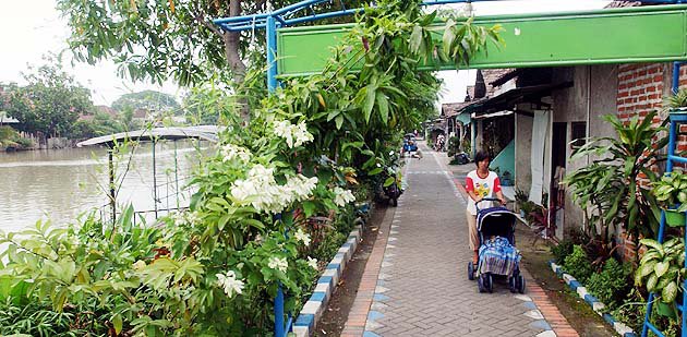 Cara Membuat Kampung Sehat Agar Menjadi Tempat Tinggal Yang Bersih Dan Nyaman Dinas Lingkungan Hidup Kota Semarang